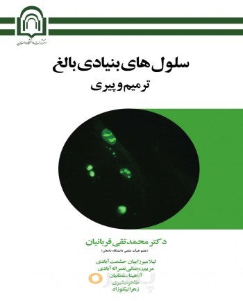 سلول‌های بنیادی بالغ: ترمیم و پیری