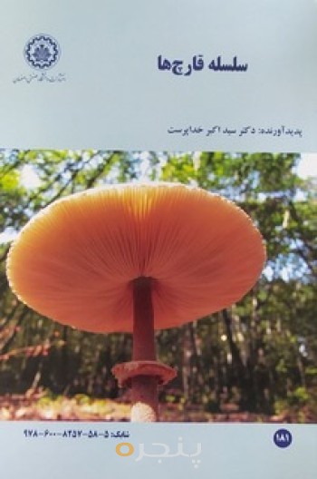 سلسه قارچ ها