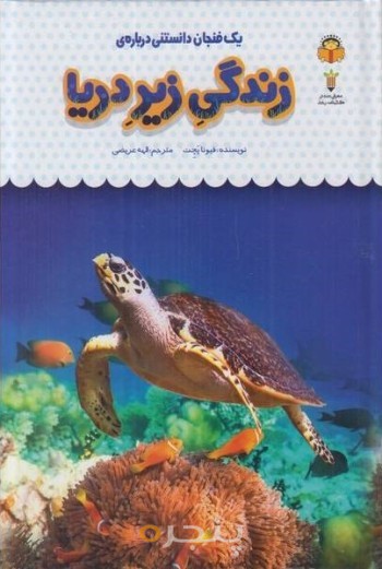 یک فنجان دانستنی درباره ی زندگی زیر دریا