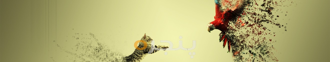 کاپرا Cover