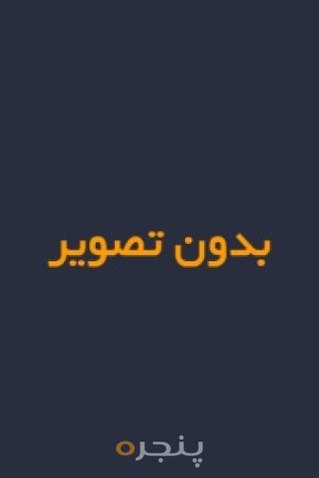 اختری در شب