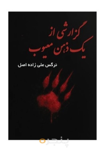 گزارشی از یک ذهن معیوب