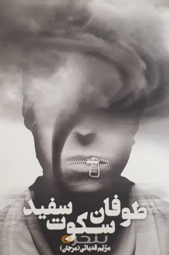 طوفان، سکوت، سفید: مجموعه داستان کوتاه