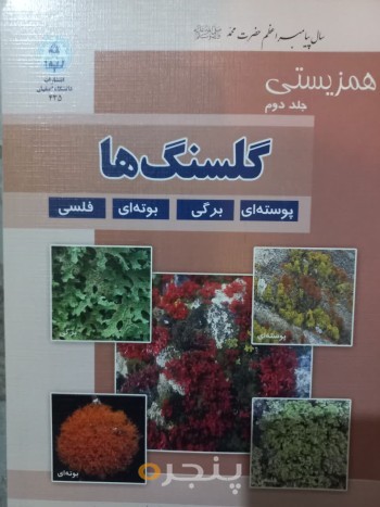 گلسنگ ها